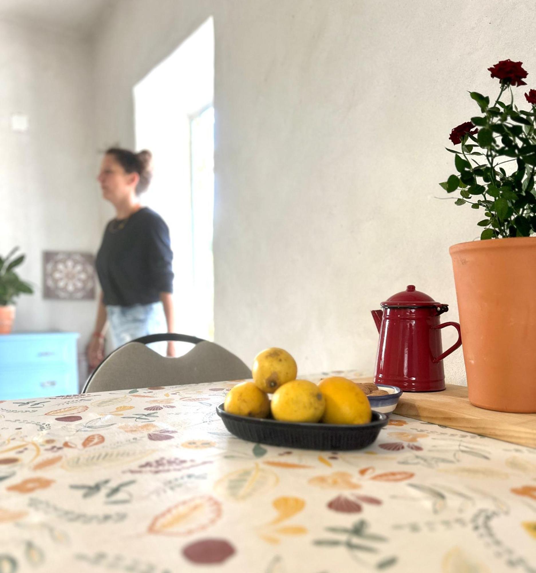 Casa Trilho The Gaios Bed & Breakfast Tábua Eksteriør bilde